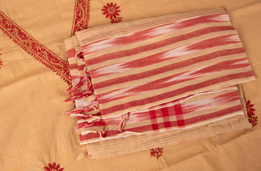 V Neck Beige Chikankari Dress material with Ikkat Dupatta