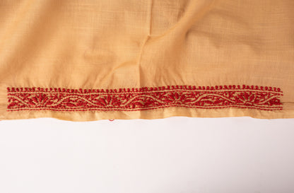 V Neck Beige Chikankari Dress material with Ikkat Dupatta