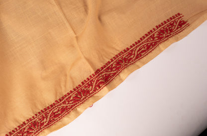 V Neck Beige Chikankari Dress material with Ikkat Dupatta